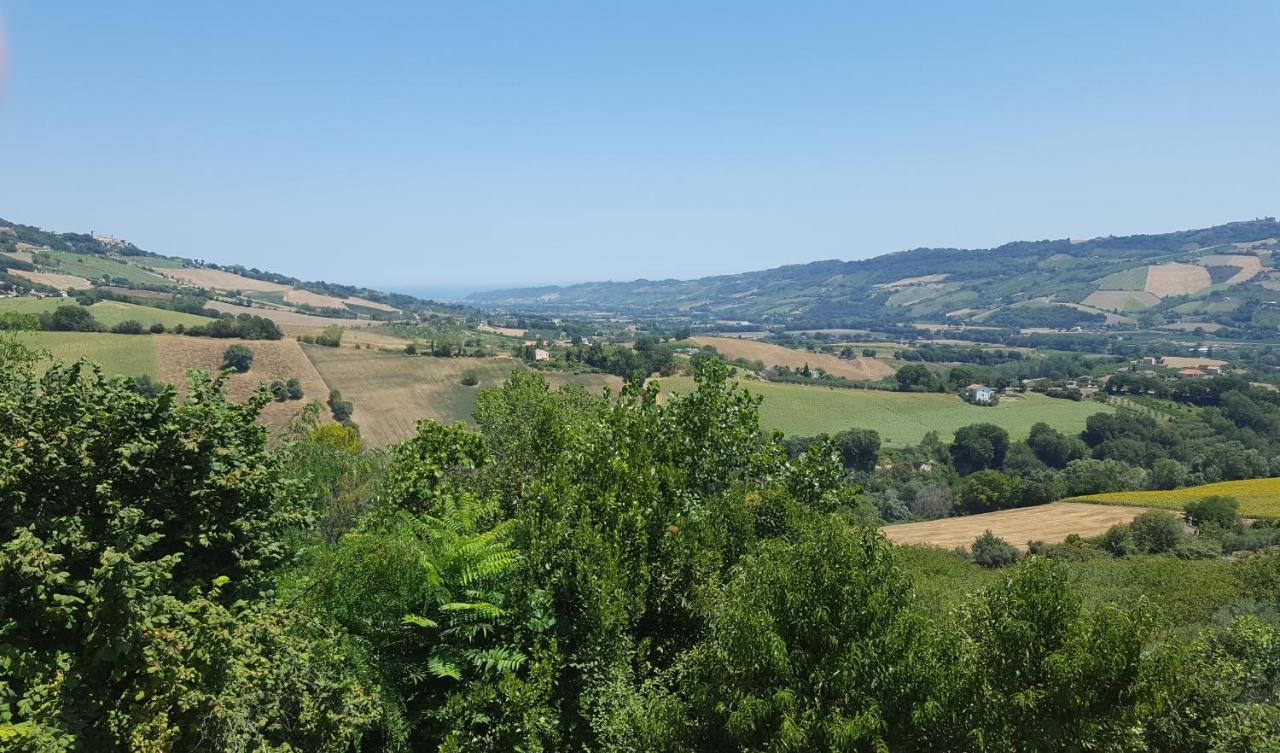 Il Piccolo Carro Apartments Monterubbiano Dış mekan fotoğraf